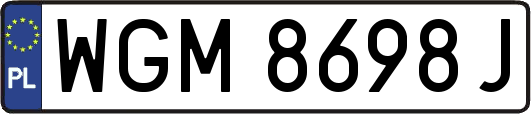 WGM8698J