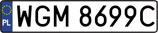 WGM8699C