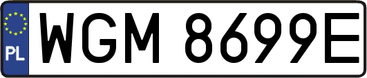 WGM8699E