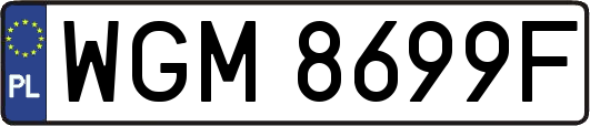 WGM8699F