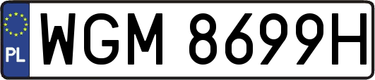 WGM8699H