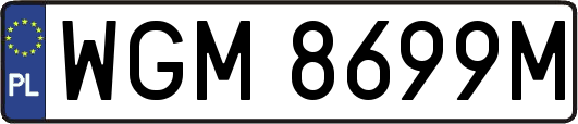 WGM8699M