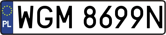 WGM8699N