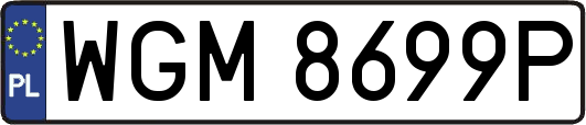 WGM8699P