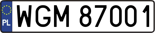 WGM87001