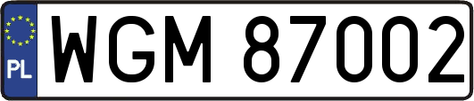WGM87002
