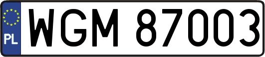 WGM87003