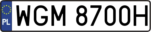 WGM8700H