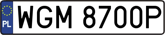 WGM8700P