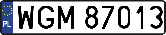 WGM87013
