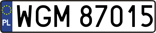 WGM87015