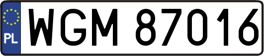 WGM87016