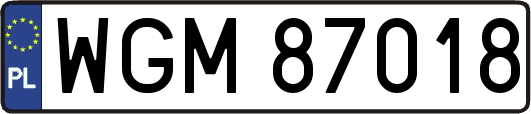 WGM87018