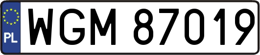 WGM87019