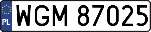 WGM87025