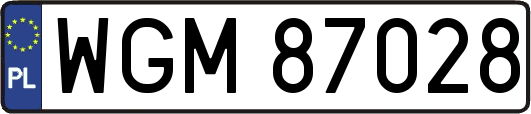 WGM87028