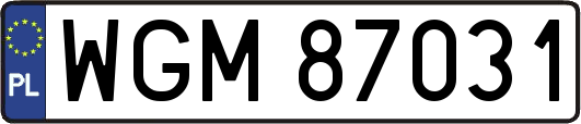 WGM87031
