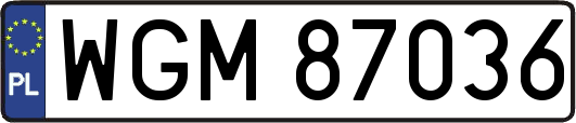 WGM87036
