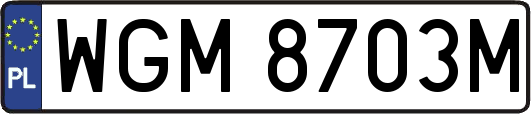 WGM8703M