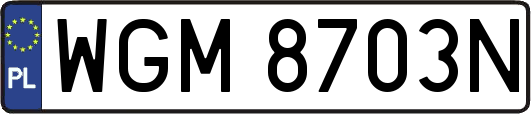 WGM8703N