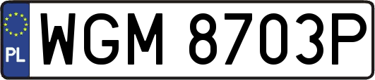 WGM8703P