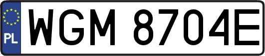 WGM8704E