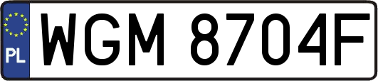 WGM8704F