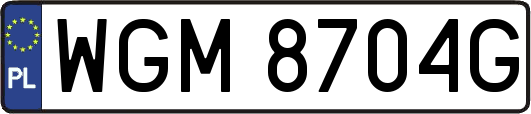 WGM8704G