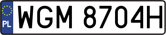 WGM8704H
