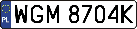WGM8704K