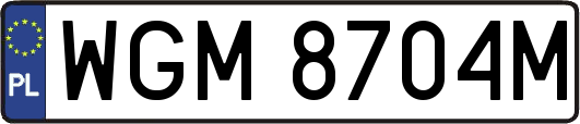 WGM8704M