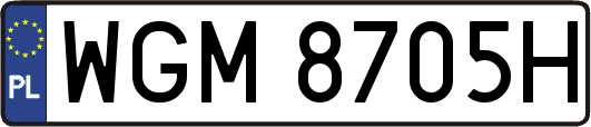 WGM8705H