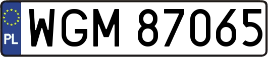 WGM87065