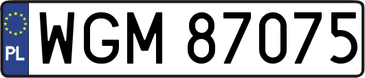 WGM87075