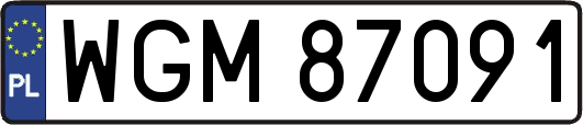 WGM87091