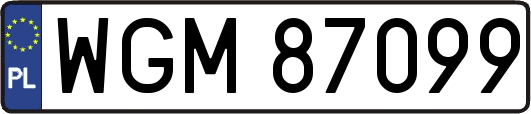 WGM87099
