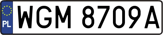 WGM8709A