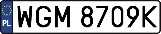 WGM8709K