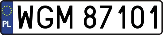 WGM87101