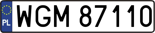 WGM87110