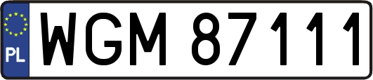 WGM87111