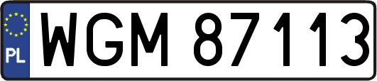 WGM87113