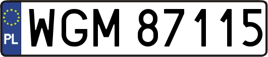 WGM87115