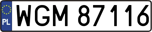 WGM87116