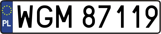 WGM87119
