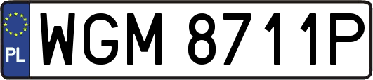 WGM8711P