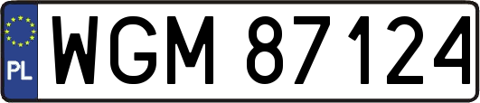 WGM87124