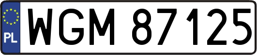 WGM87125