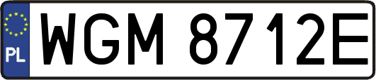 WGM8712E