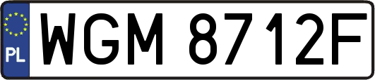 WGM8712F